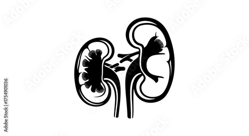 Stylized black and white illustration of human kidneys.