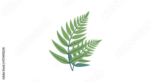 Vibrant Green Fern Leaves Isolated on White Background.