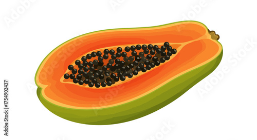 Half Papaya Fruit with Black Seeds and Green Skin.