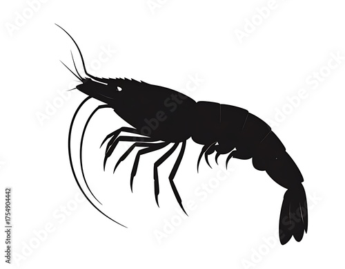 Shrimp Silhouette - A Detailed Vector Illustration of a Crustacean.