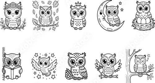 Forest Owlets – Baby Owl Coloring Illustration Pack