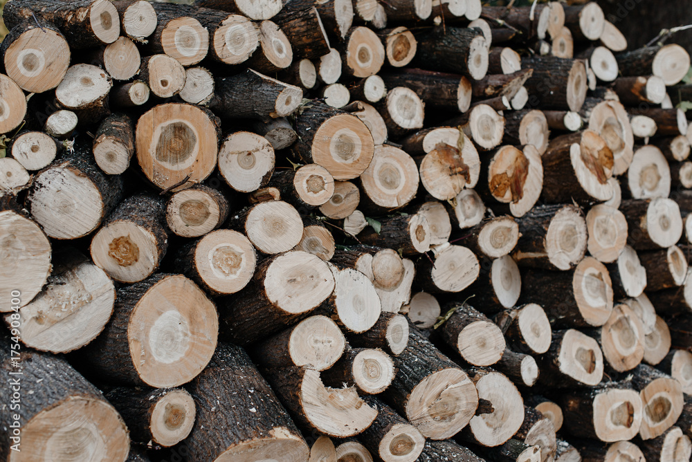 Fototapeta premium large pile of stacked woods for heating, background, pattern