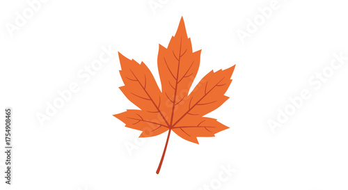 Discover the vibrant beauty of autumn leaves changing colors during the fall season.