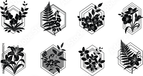 Black floral vector illustration, symmetrical botanical artwork with hexagonal frames, featuring leaves, flowers, vines, and decorative geometric elements for design use