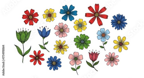 Floral patterns of vibrant blooms on isolated on white background