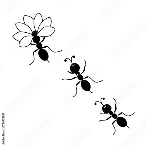ants carrying flower petals home 