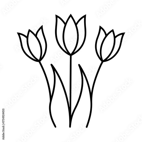 vector illustration of a tulip