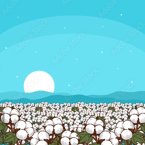 A vast field of fluffy white cotton bolls under a clear bright blue sky. Themes related to organic products, textiles, agriculture and natural beauty. World cotton day on October 7th