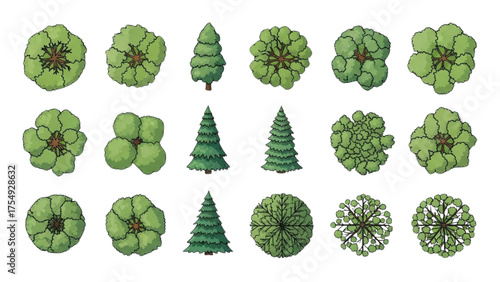 Assorted Top-Down and Side View Green Trees and Evergreens Illustrations Collection
