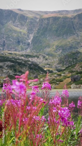 Pink wildflowers with a lake and mountains in the back