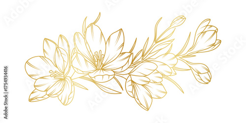 Golden crocus flowers line art isolated on white background. Luxury crocus floral design elements for invitation, wedding, wallpaper, print template, vector illustration