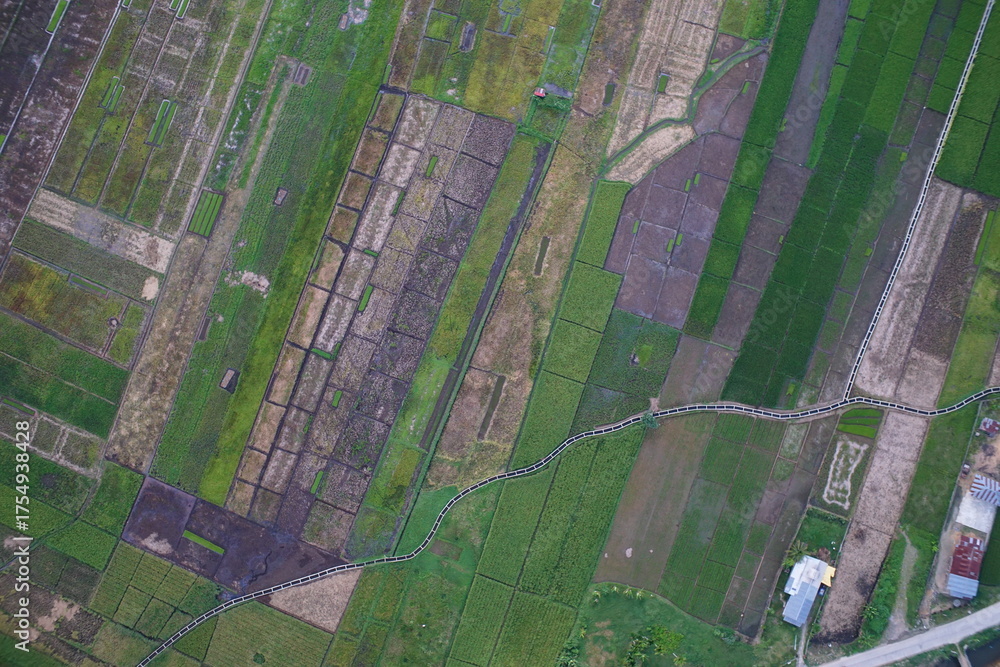 Fototapeta premium Aerial view of flooded rice fields, irrigation canals, and expanding urban settlements in Sungai Penuh, Jambi, Indonesia. Showing urban sprawl, farmland conversion, and environmental landscape.
