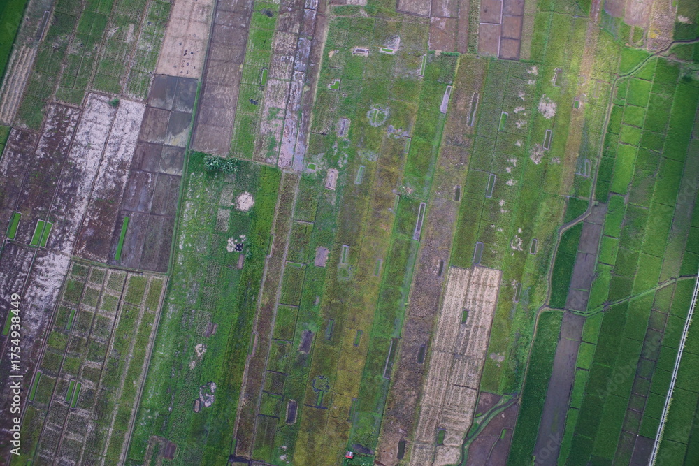 Fototapeta premium Aerial view of flooded rice fields, irrigation canals, and expanding urban settlements in Sungai Penuh, Jambi, Indonesia. Showing urban sprawl, farmland conversion, and environmental landscape.