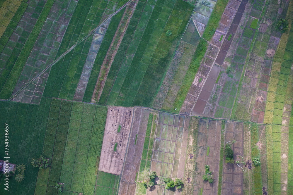 Fototapeta premium Aerial view of flooded rice fields, irrigation canals, and expanding urban settlements in Sungai Penuh, Jambi, Indonesia. Showing urban sprawl, farmland conversion, and environmental landscape.