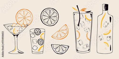 Refreshing citrus drinks and slices with ice cubes and martini glass in a stylized illustration