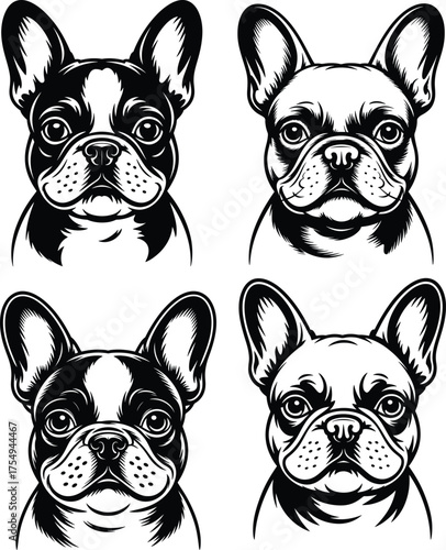 Collection of adorable French bulldog portraits in black and white design