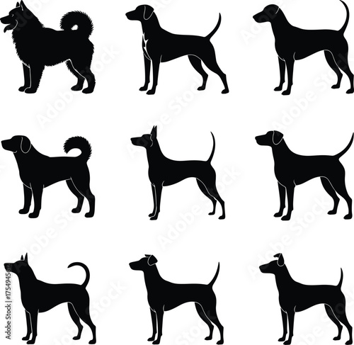 Silhouettes of various dog breeds standing against a white background