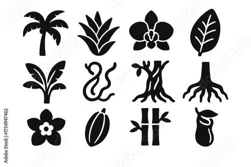 Rainforest Plant Icons. Solid style icons of Rainforest plant life: palm tree, bromeliad, orchid, giant leaf, banana plant, liana