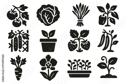 Greenhouse Crop Icons. Solid style icons of Greenhouse plants and crops: tomato vine, lettuce head, herb bunch, pepper plant,