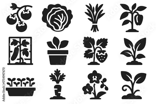 Greenhouse Crop Icons. Solid style icons of Greenhouse plants and crops: tomato vine, lettuce head, herb bunch, pepper plant,