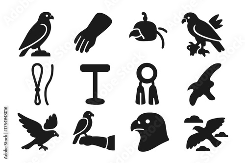 Falconry Icons Set. Solid style icons of Falconry: perched falcon, leather glove, falcon hood, caught prey, tether strap, jess