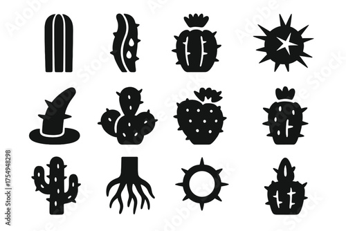 Cactus Anatomy Icons. Solid style icons of Cactus Anatomy: thick stem, water storage rib, flower crown, cluster of thorns, spine