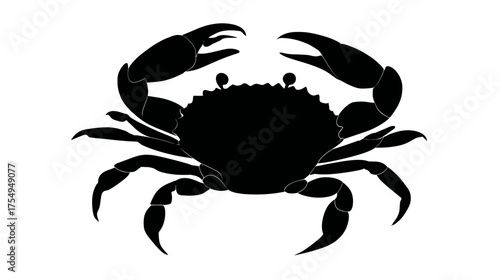 Silhouette crab with sharp claws