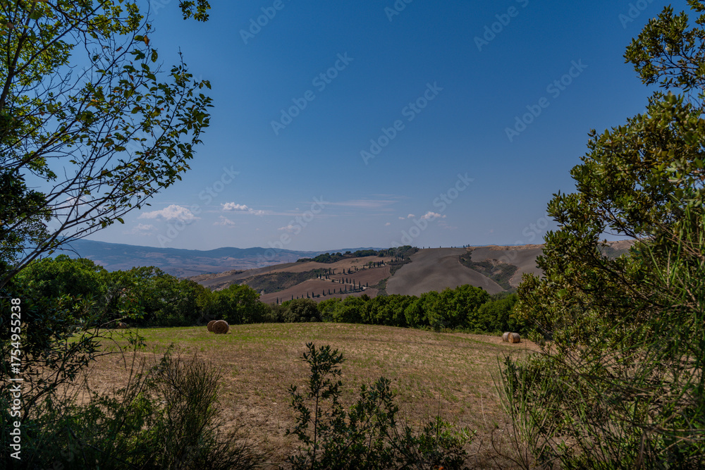 Obraz premium Tuscan Hills and Fields Framed by Greenery