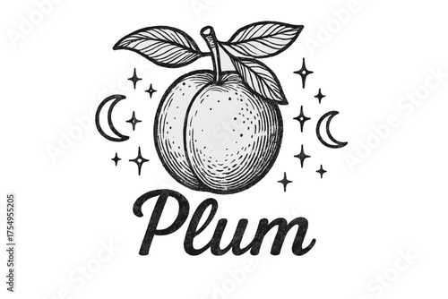 Plum, Moon, and Leaves. Hand-drawn plum with moons, sparkles, and leaves, center word “Plum” in black and white isolated