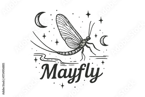 Mayfly with Moons. Hand-drawn mayfly with moons, rivers, and sparkles, center word “Mayfly” in black and white isolated