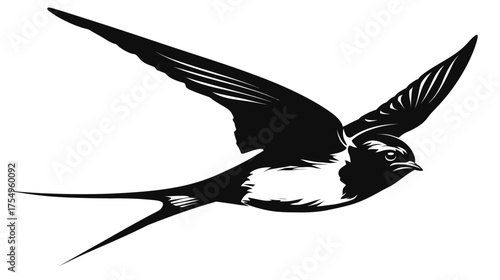 Striking monochromatic image of a swallow in flight with wing details and long tail