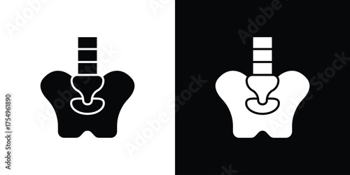 Pelvic area icon vector graphics, a flat solid icons