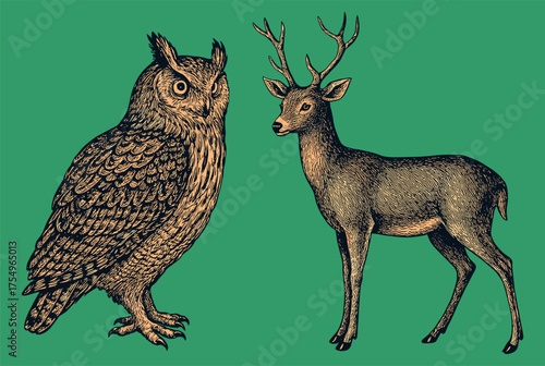 Classic hand-drawn vintage illustration of owl and deer on a green background, detailed and elegant in engraving style.