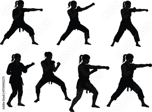 Martial arts silhouette, karate training poses, self defense practice, fighter stances, punching techniques, martial artist uniform, combat skills, sports illustration