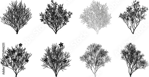 Bushes, Shrubs, Botanical Plants, CAD Drawing, Flat Vector Illustration, Black and White, Nature Elements, Minimal Design, Landscape Icons, Foliage Silhouettes