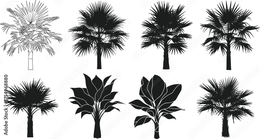 Fototapeta premium Tropical palm and exotic tree silhouettes collection, black vector illustration for landscape, garden, nature, design, decoration, and summer art
