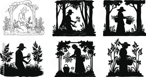 Silhouette illustration of women harvesting herbs and plants in garden, farming, agriculture, botanical collection, and nature lifestyle concept art