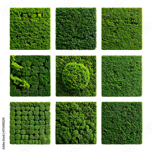 Nine squares of varying textured green foliage, neatly arranged against a black backdrop