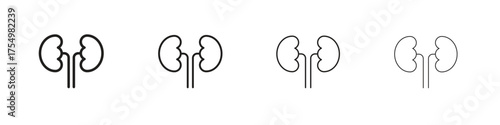 Kidney icon. editable stroke icon for graphic project