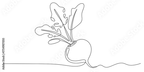 Elegant single line drawing of a radish with leafy greens emerging from the earth vector