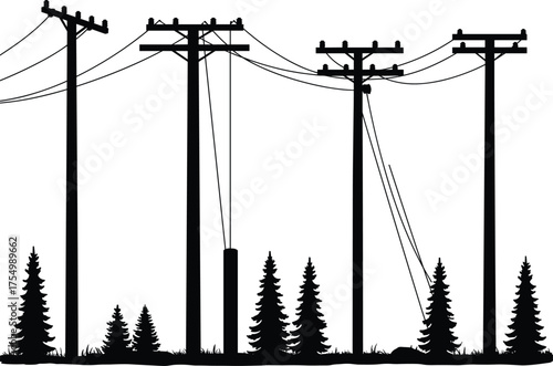 Silhouette of five utility poles with transformers, insulators, power lines, rural landscape, conifer trees, electricity distribution, industrial infrastructure, outdoor energy network