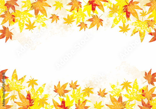 紅葉, 秋, 水彩, 満開, 枯れ葉, 落ち葉, 落葉, フレーム, あしらい, 七五三, イメージ, バックグラウンド, アブストラクト, 葉, もみじ, 植物, １１月, １２月, １０月, ９月, イラスト, ベクター, 美しい, 季節, 自然, デコレーション, デザイン, 模様, 背景, 木の葉