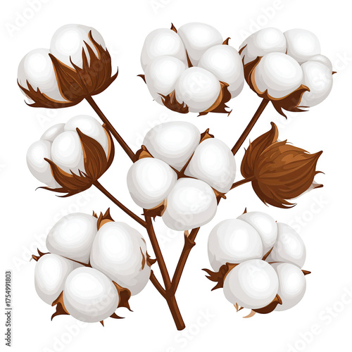 Vector illustration of cotton branches with fluffy white bolls and brown stems