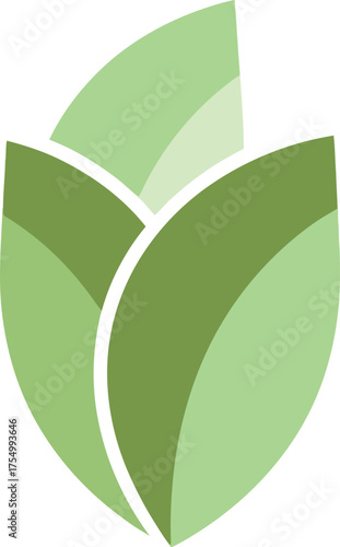 Green leaf logo design representing nature and growth.