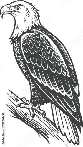 Sketches Birds-Buildings-Perashoote-