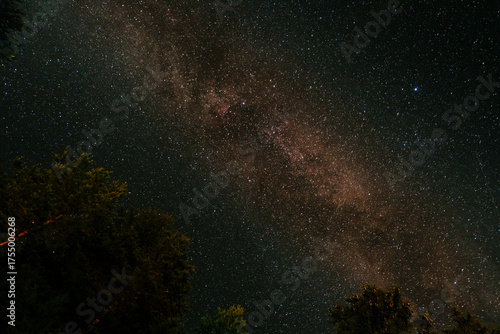 Starry night sky with a vivid view of the Milky Way stretching across the frame, surrounded by silhouettes of trees on the horizon