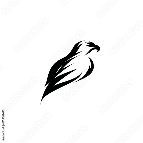 A sleek, stylized black and white logo of a bird, depicting a sharp gaze and powerful form