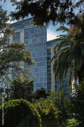 Modern glass building behind tropical greenery