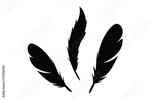 Bird feather silhouette vector, Feather icon, Black quill feather silhouette