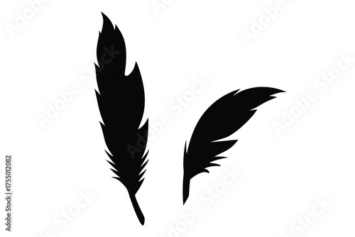 Bird feather silhouette vector, Feather icon, Black quill feather silhouette